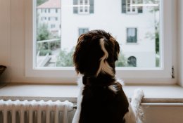 Šildymo sezonas jau čia: kokie sprendimai padės šildymą kontroliuoti efektyviai?