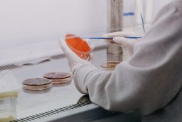 Koronaviruso infekcijos statistika: Lietuvoje 2104 nauji infekcijos atvejai, 12 žmonių mirė