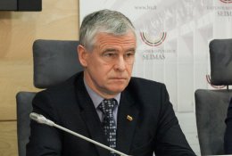 V. Čmilytė-Nielsen į Seimo vicepirmininkus siūlys „valstietį“ J. Jarutį