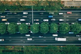Draudikai įvardijo, kokie automobiliai dažniausiai nukenčia nuo ilgapirščių