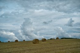 Vėjo elektrinės ir žemdirbystė: ką reikia žinoti ūkininkams?