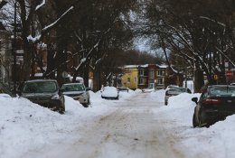 Neužsiveda dyzelinis variklis – „žudikas“ slepiasi biodegaluose