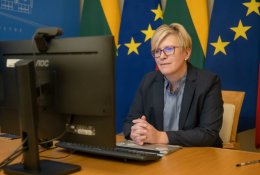 I. Šimonytė: visiškai uždaryti valstybės sienas yra nerealu