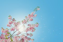 Ar pavasario saulė gali užtikrinti reikalingą vitamino D kiekį?