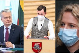 A. Armonaitė: prezidento žodžiai apie inkviziciją tiktų ir T. V. Raskevičiui