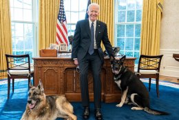J. Bideno šunys Baltuosiuose rūmuose nepritapo