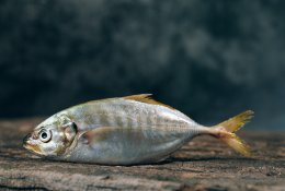Ekspertė pataria: kaip taisyklingai atšildyti žuvį ir kokių klaidų nedaryti?