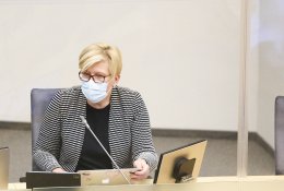 I. Šimonytė apie atstovavimą EVT: ES sprendžiami reikalai dažniausiai nėra susiję su užsienio politika