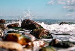 Europos Parlamentas ragina gelbėti Baltijos jūrą