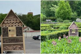 Vilniaus parkuose „išdygo“ nauji vabzdžių viešbučiai