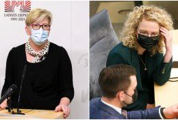 Politologai nesutaria, kas iš valdančiųjų paskubėjo dėl partnerystės įstatymo
