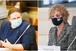 „Valstiečiams“ – kritikos strėlės dėl parengtų pataisų: homoseksualių porų problemos tik dar labiau gilėtų