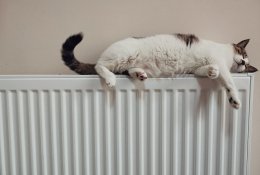 Pigiausias šildymo sezonas Lietuvos istorijoje baigėsi. Koks laukia ateinantis?