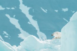 Arkties tyrinėtojas baiminasi dėl klimato atšilimo: „Gal jau praleidome svarbų lūžio tašką“