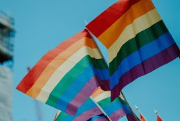 Įvertino išsiskyrusias prezidento ir valdančiųjų nuomones dėl Vengrijoje priimto įstatymo: pyktis nereikėtų
