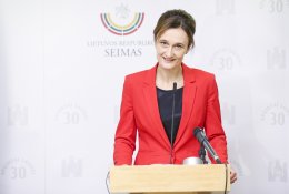V. Čmilytė-Nielsen apie migrantų krizę: prieš 6 metus Lietuva apsimetė, kad problemos nemato, o šiandien tapo pagalbos prašytoja