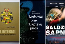 TOP 3 knygų pasiūlymai savaitgaliui