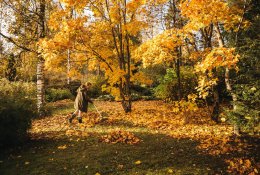 Ieškote naujų meditacijos būdų? Išmėginkite lapų grėbimą