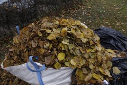 Tinkamiausias žaliųjų sodo ir daržo atliekų tvarkymas – kompostavimas