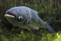 Laimikis iš savo tvenkinio – kada tik panorėjus