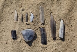 Įdomioji istorija: protėvių klajonių maršrutai – kada Lietuvoje apsigyveno šiuolaikiniai žmonės?