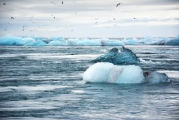 Į susitikimą dėl klimato kaitos neatvykusioms Kinijai ir Rusijai – griežta JAV kritika