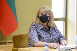 V. Blinkevičiūtė įvertino pirmuosius Seimo metus: įsitvirtino pykčio atmosfera
