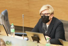 I. Šimonytė: didžiausią žalą šalies reputacijai daro kalbantys apie žalą Lietuvos reputacijai