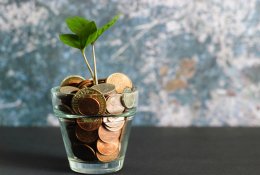 Kaip ilgiau išlaikyti sukauptos papildomos pensijos vertę