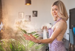 Kambarinės gėlės – gerų emocijų ir sveikatos šaltinis