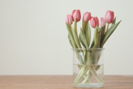 Kaip žiemą pražydinti tulpes?