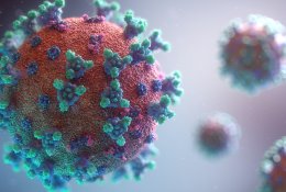 Pragaištingas COVID-19: Vokietijoje pirmą kartą po Antrojo pasaulinio karo per metus mirusių žmonių skaičius viršijo 1 mln.