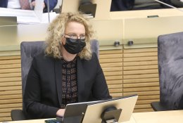 Verslas kritikuoja A. Armonaitę dėl „krizelės“: lengviausia kalbėti, jeigu pats nesi nieko daręs