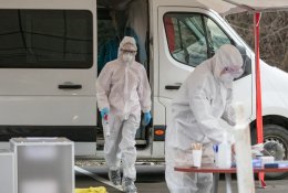SAM: laikinai stabdomas testavimas kaupinių PGR tyrimais ugdymo įstaigose