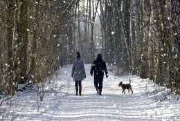 10 tūkst. žingsnių per dieną – daug ar mažai?