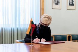 I. Šimonytė: svarstoma tikslinti biudžetą ir numatyti daugiau išlaidų gynybai