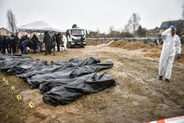 Parlamentaras: situacija Ukrainoje yra Prancūzijos ir Vokietijos pataikavimo Rusijai padarinys
