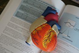 Nuo kitų mokslo metų valstybės finansuojamų medicinos studijų vietų bus daugiau