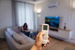 Vaistininkai: sezoninę alergiją sukeliančias žiedadulkes nešiojamės plaukuose ar ant drabužių