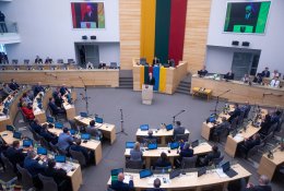 Seimas apsisprendė atsisakyti „amžinojo“ embrionų saugojimo