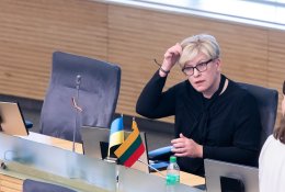Premjerė opozicijai: arba dirbkite savo darbą, arba reikškite nepasitikėjimą visa Vyriausybe