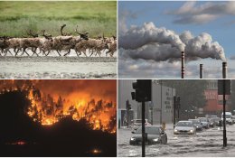 Kokie požymiai neleidžia abejoti žmogaus poveikiu mūsų planetos klimatui ir gamtai?