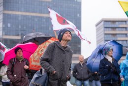 V. Čmilytė-Nielsen apie Šeimų sąjūdžio suorganizuotą mitingą: tai yra neskaitlingos visuomenės grupės nuomonė