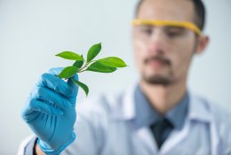 TOP 5 su sėkminga karjera siejamos studijos: viršūnėje – IT ir medicina
