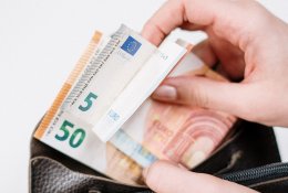 I.Segalovičienė: Lietuvai yra reikalinga mokesčių reforma