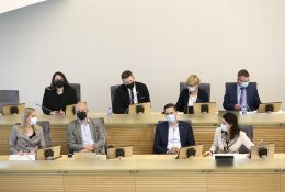 Seimo teisininkai: siūlymas nustatyti išsilavinimo reikalavimus Vyriausybės nariams gali prieštarauti Konstitucijai