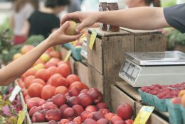 Parlamentaro pasiūlymas skatins pirkimus iš smulkiųjų ūkininkų