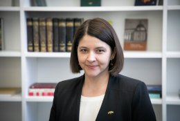 G. Skaistė: kai biudžetas bus priimtas, bus galima grįžti prie diskusijų dėl mokesčių reformos