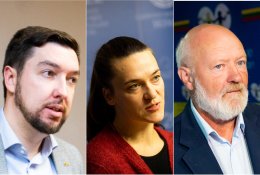 Svarstoma Civilinės sąjungos įstatymą perkelti į Seimo pavasario sesiją: prieš savivaldos rinkimus palaikymo gali neužtekti