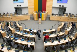 Opozicija piktinasi ydinga balsavimo dėl teisės aktų tvarka, tačiau vilčių ją pakeisti nepuoselėja: taip valdantieji siekia išlaikyti trapią daugumą
